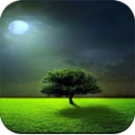 nature wallpaper hd app offlin android application logo